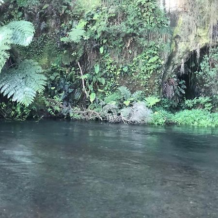 Вилла A1 Troutfishing At Tirau Экстерьер фото